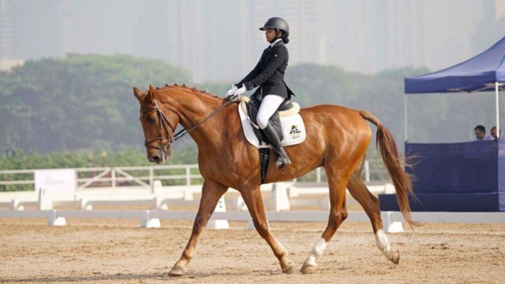 horse rider