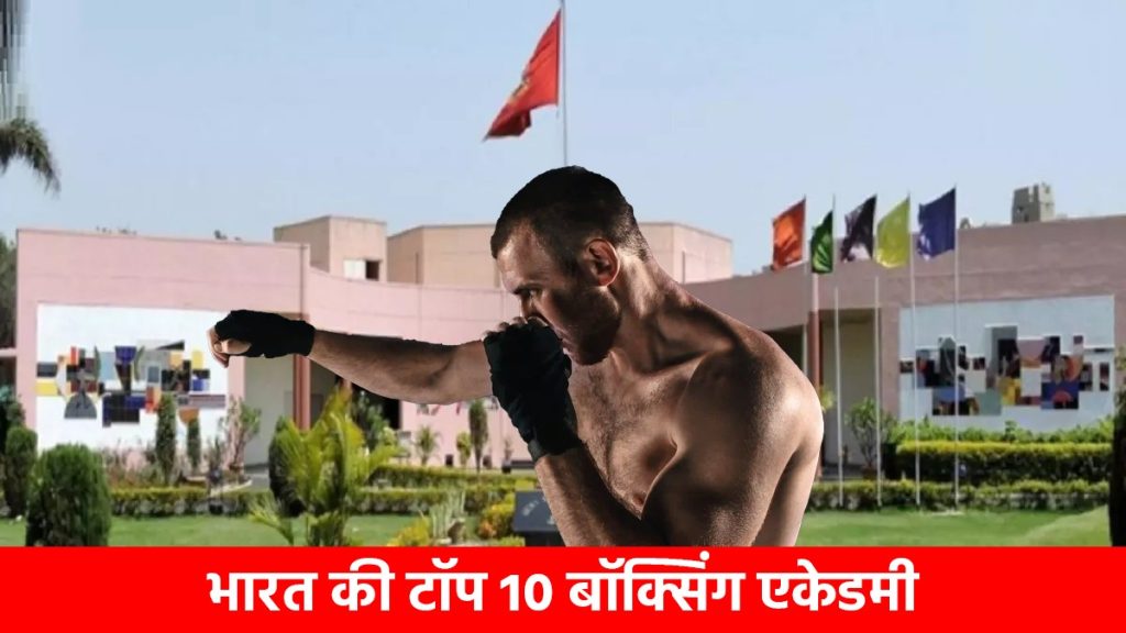 Top 10 Boxing Academies Of India