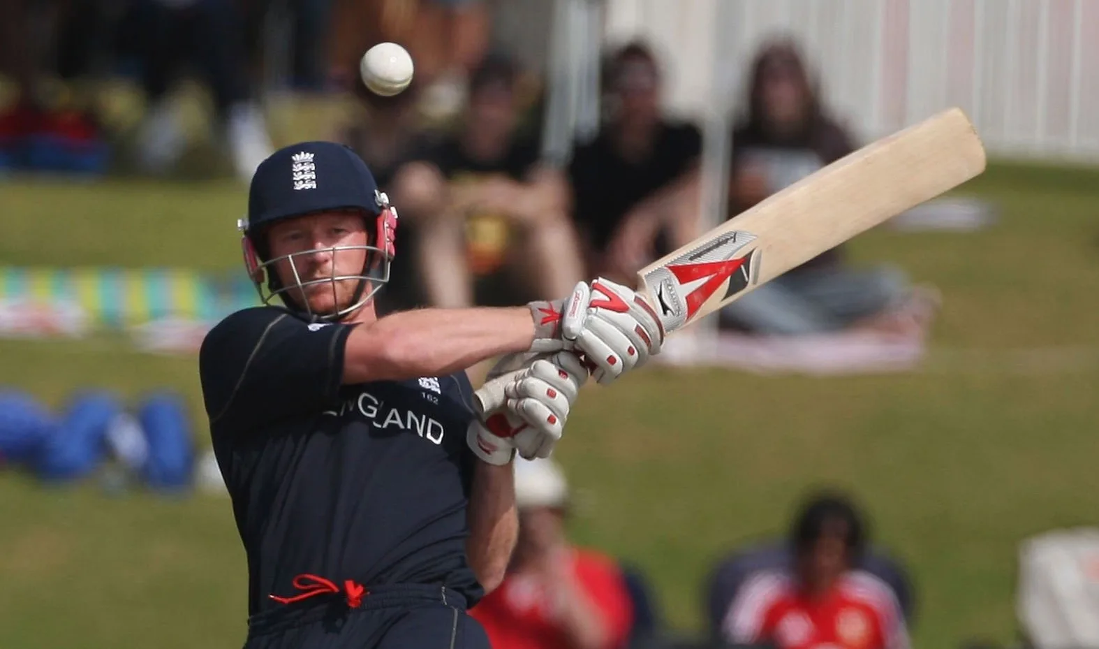 Paul Collingwood