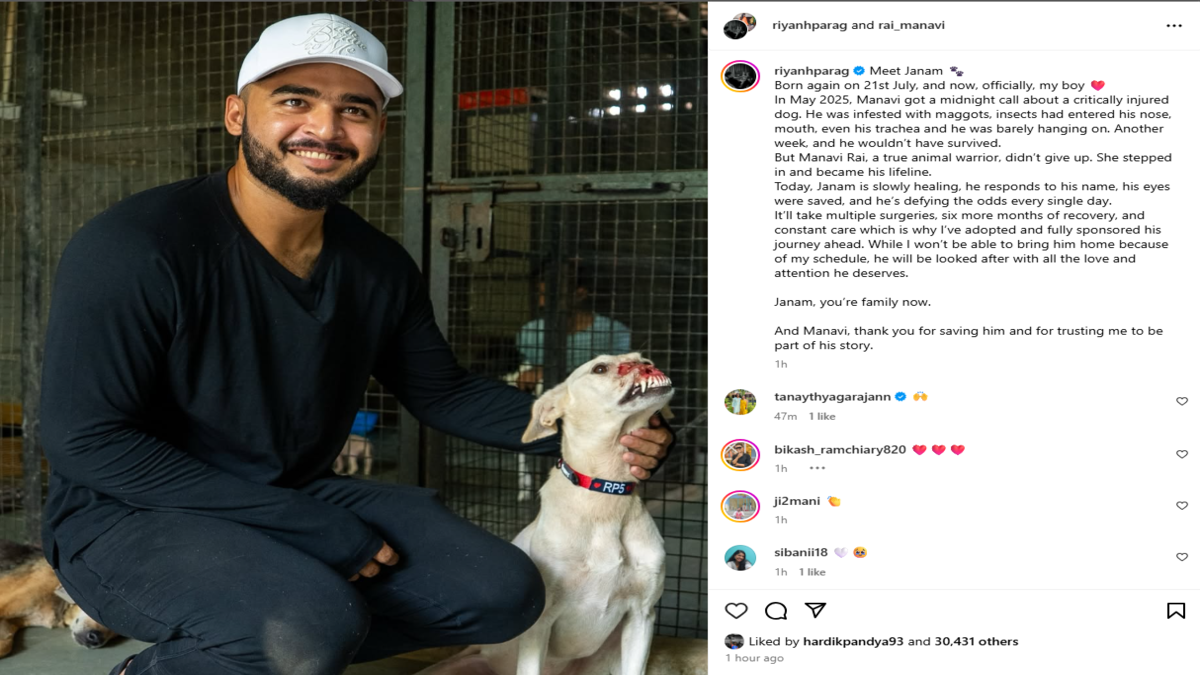 Riyan Parag Adopts Injured Rescue Dog Janam
