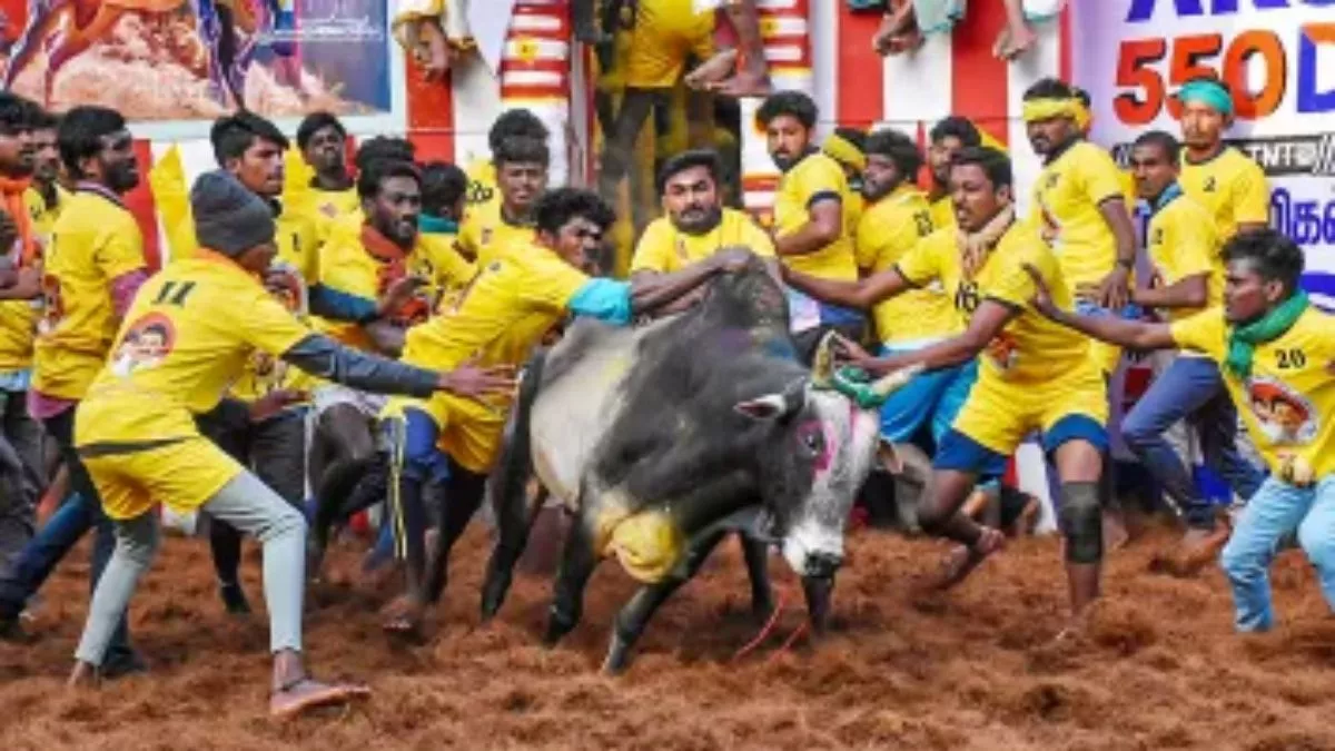  Most Popular Indian Sports That Not Everyone Knows About