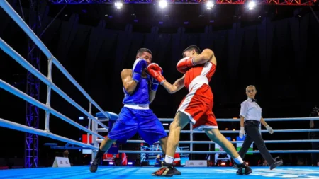 Indian Boxer